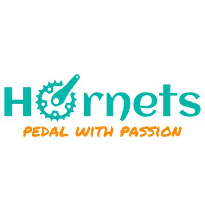 Bicycle 49 Miniatura