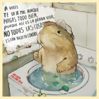 Así es la vida... Diseño